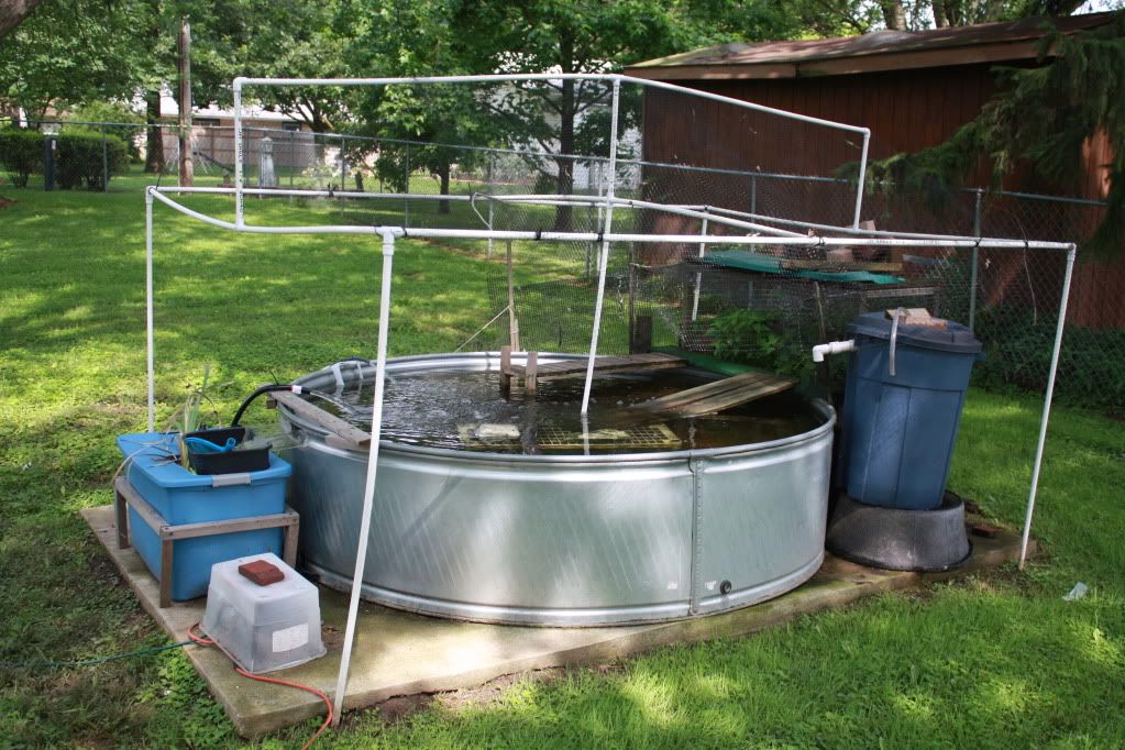 8Foot Diameter Stock Tank Pond Habitats and Equipment Turtle Forum